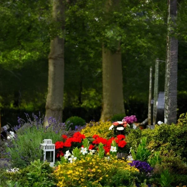 Blomstrande trädgård med färgglada blommor i olika nyanser, inklusive röda, vita och gula. I förgrunden syns en vit lykta och lavendel. I bakgrunden står höga träd med tät grönska, vilket skapar en lugn och naturskön atmosfär.